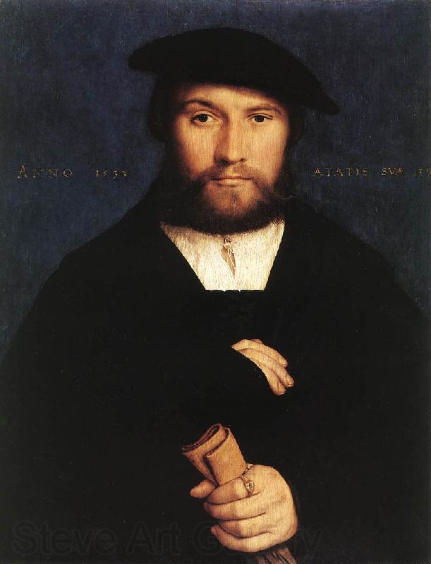 HOLBEIN, Hans the Younger Portrait of a Member of the Wedigh Family sf Norge oil painting art